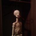 В номере отеля у меня был свой скелет в шкафу